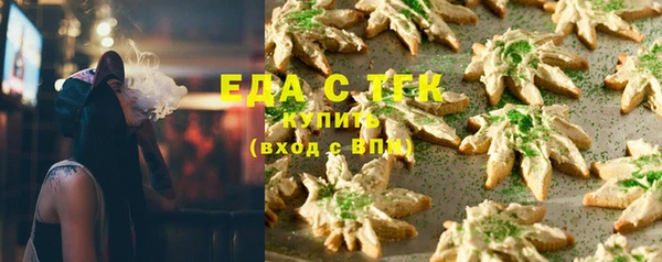 СК Коряжма