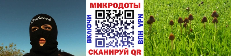Купить закладки  Кохма  Псилоцибиновые грибы ЛСД 